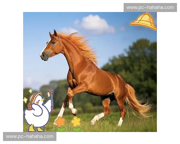 温顿的优雅对抗荷兰的风情:一场跨越时空的文化碰撞